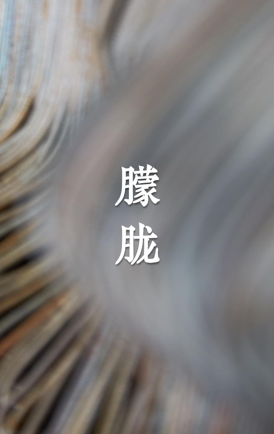 12.png